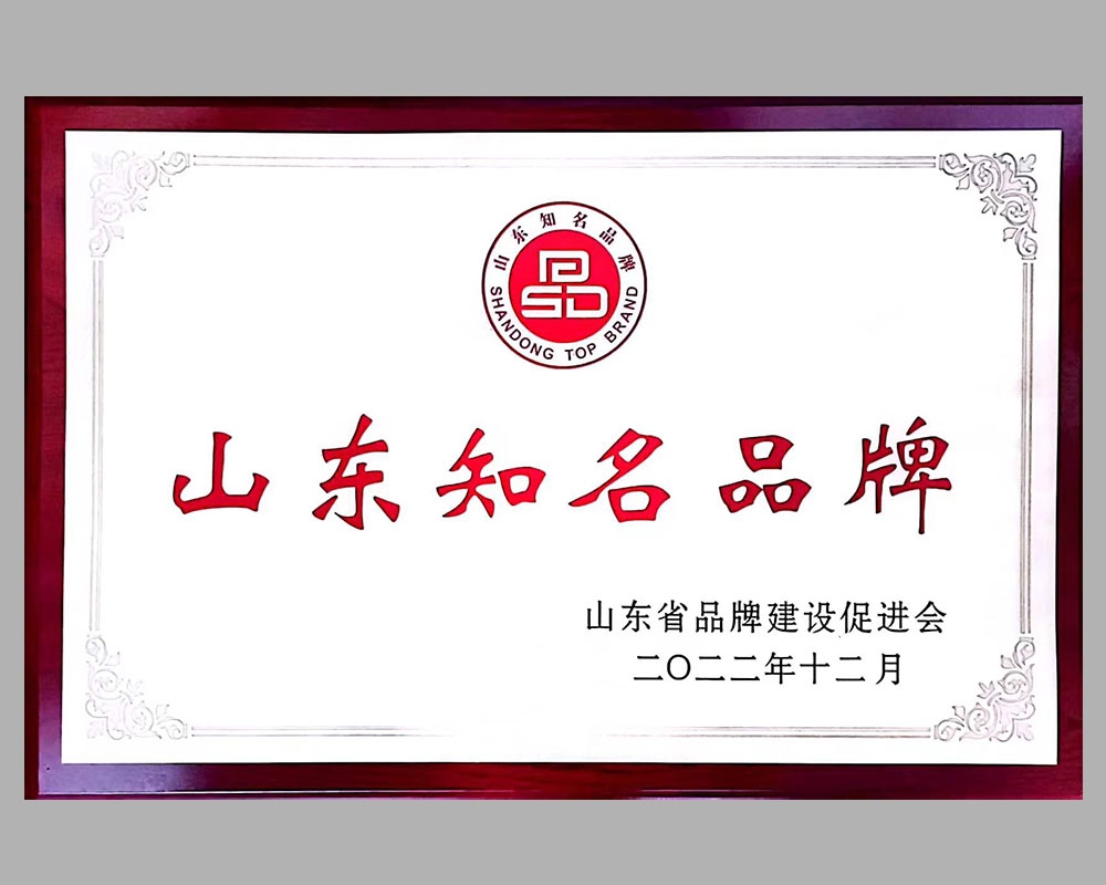 山東知名品牌獎(jiǎng)牌